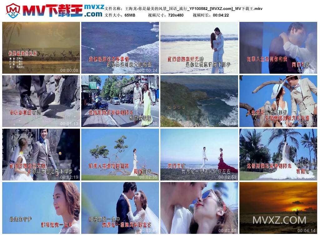 王海龙-你是最美的风景_国语_流行_YF100582